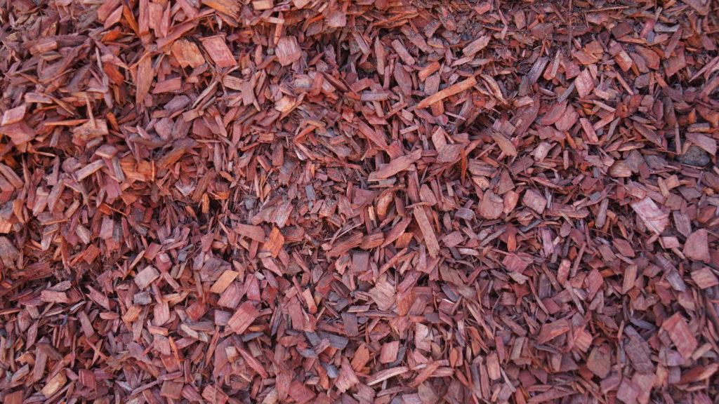Red Bark Nuggets in the Shade